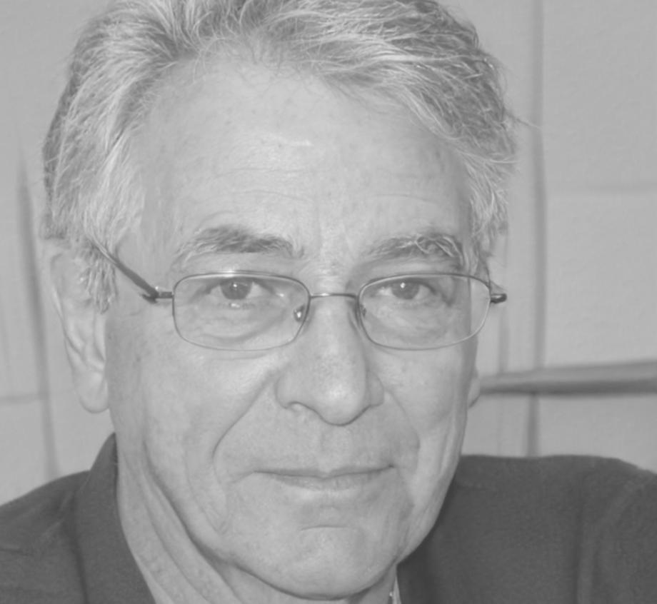 Henrik Fürst, Gründer und Finanzberater